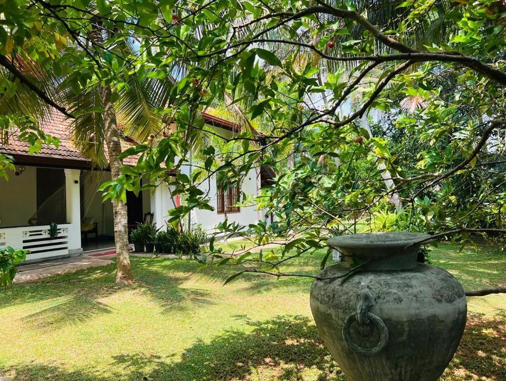 Krishan Villa Negombo Exterior foto
